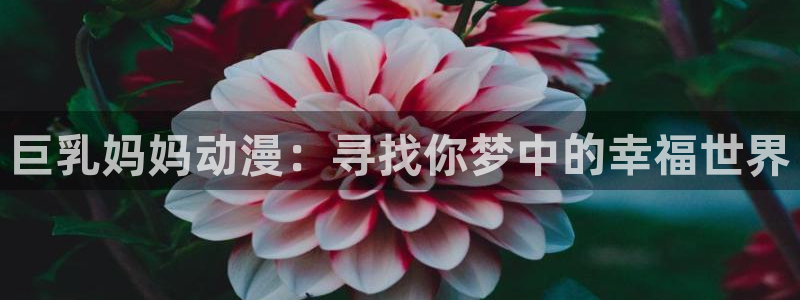 age专注动漫的门户网站