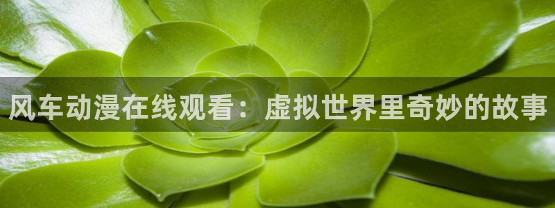 kakaopage韩漫官网：风车动漫在线观看：虚拟世界里奇妙的故事