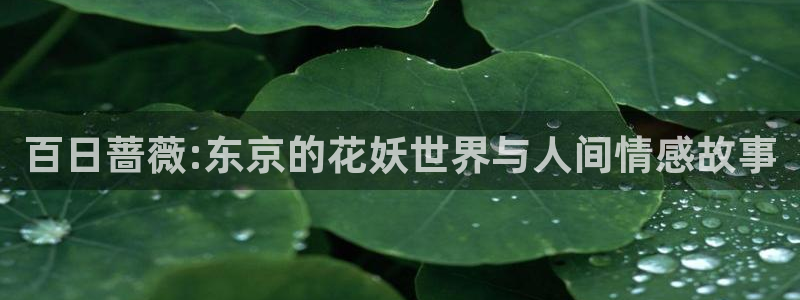 age动漫官网版入口：百日蔷薇:东京的花妖世界与人间情感故事