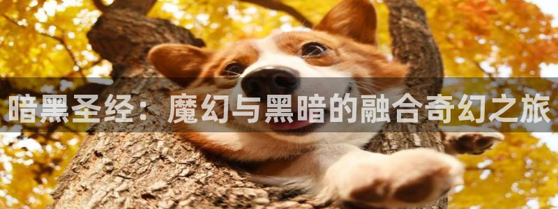 在线动画动漫下载age动漫：暗黑圣经：魔幻与黑暗的融合奇幻之旅