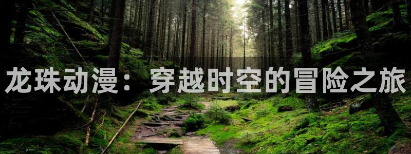 拷贝漫画 copymanager.ory网站：龙珠动漫：穿越时空的冒险之旅