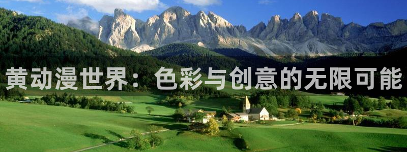 age动漫网上看：黄动漫世界：色彩与创意的无限可能