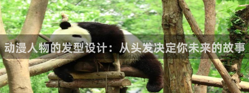 age动漫下载：动漫人物的发型设计：从头发决定你未来的故事