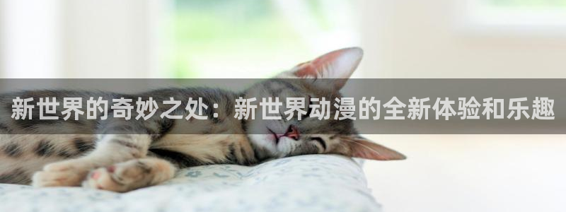 age动漫网官网入口：新世界的奇妙之处：新世界动漫的全新体验和乐趣