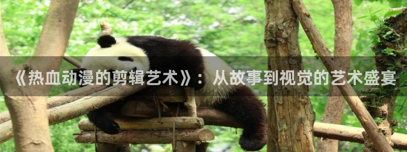 age动漫官网网址：《热血动漫的剪辑艺术》：从故事到视觉的艺术盛宴