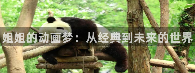下载age动漫：姐姐的动画梦：从经典到未来的世界