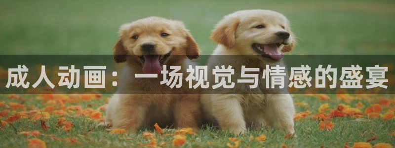 age动漫网：成人动画：一场视觉与情感的盛宴