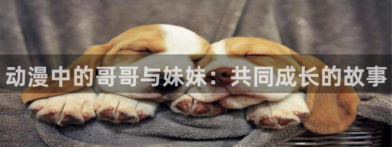 age动漫官网版入口：动漫中的哥哥与妹妹：共同成长的故事