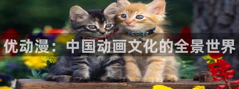 stagenehind韩漫免费观看：优动漫：中国动画文化的全景世界