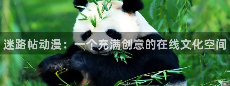 age动漫官网在线入口：迷路帖动漫：一个充满创意的在线文化空间