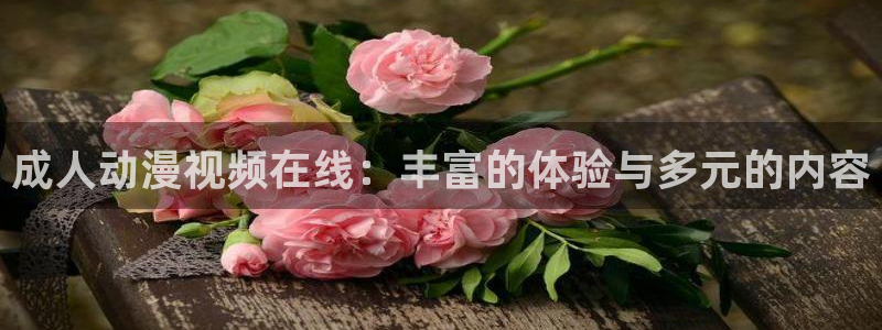 age动漫omofun：成人动漫视频在线：丰富的体验与多元的内容