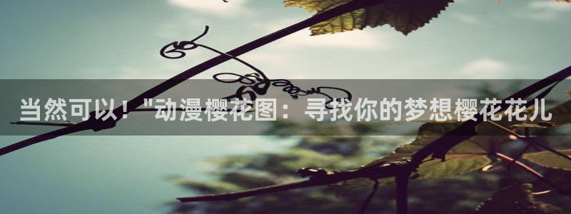 age专注动漫的门户网站
