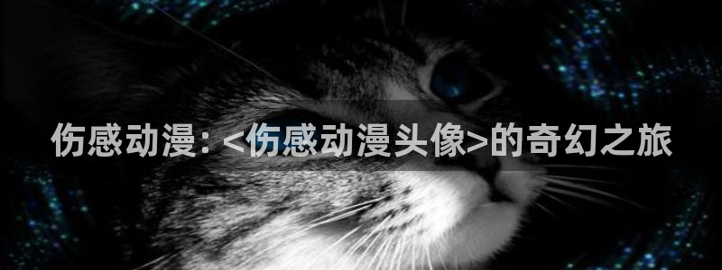 age动漫正版网