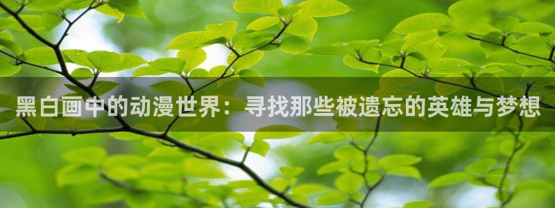 age动漫omofun：黑白画中的动漫世界：寻找那些被遗忘的英雄与梦想