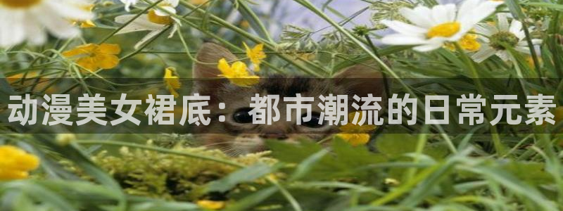age动漫下载：动漫美女裙底：都市潮流的日常元素