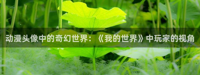 age动漫下载