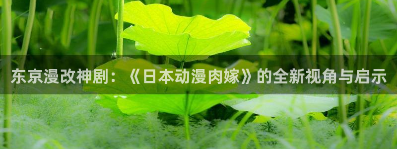 age专注动漫的门户网站：东京漫改神剧：《日本动漫肉嫁》的全新视角与启示