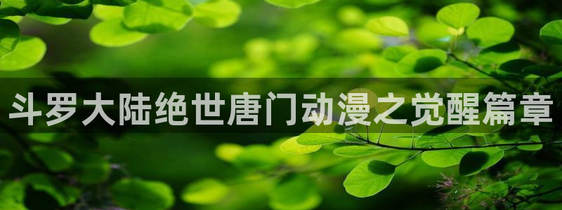 volcanicage漫画：斗罗大陆绝世唐门动漫之觉醒篇章