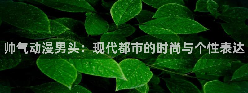 age动漫官网版入口：帅气动漫男头：现代都市的时尚与个性表达