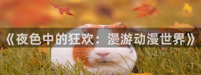 下载age动漫：《夜色中的狂欢：漫游动漫世界》