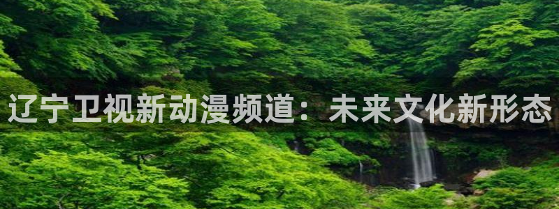 kakaopage韩漫官网：辽宁卫视新动漫频道：未来文化新形态