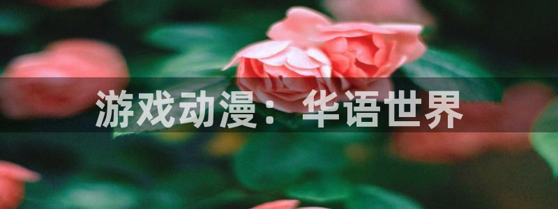 age动漫网下载