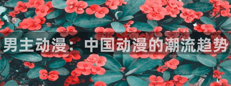 age专注动漫的门户网站：男主动漫：中国动漫的潮流趋势