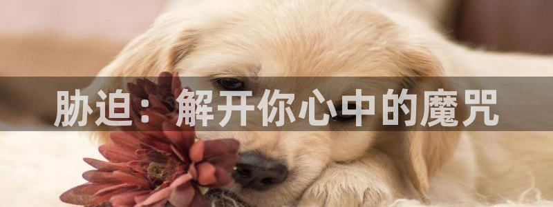 age动漫网官网入口：胁迫：解开你心中的魔咒