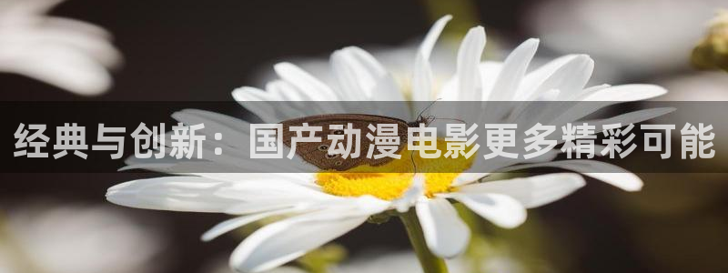 韩国漫画平台kakaopage：经典与创新：国产动漫电影更多精彩可能