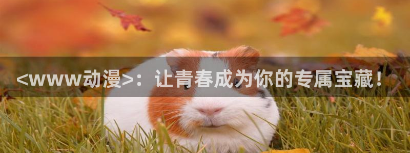 age动漫官网网址