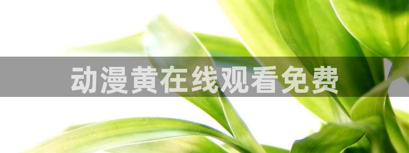 age专注动漫的门户网站：动漫黄在线观看免费
