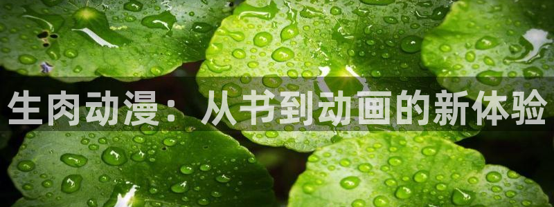 colamanage漫画：生肉动漫：从书到动画的新体验
