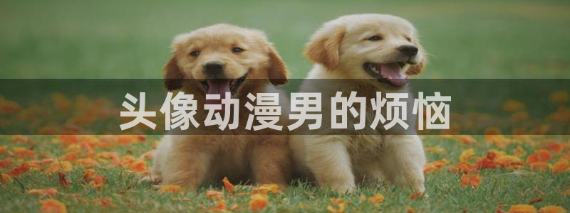 age动漫网上看：头像动漫男的烦恼