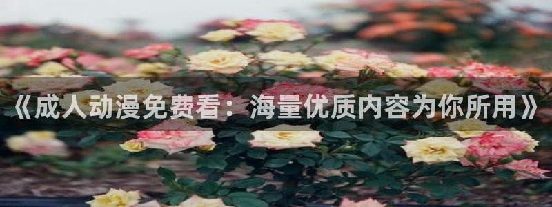 age动漫omofun