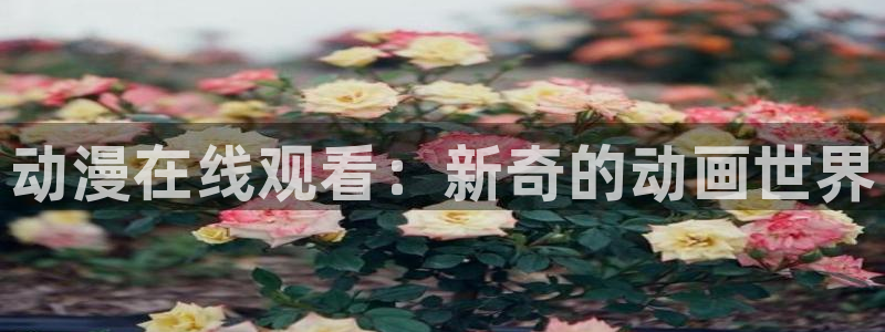拷贝漫画 copymanager.ory网站