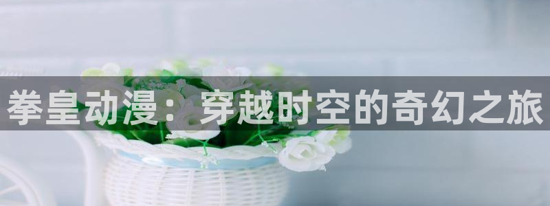 age动漫官网在线入口：拳皇动漫：穿越时空的奇幻之旅