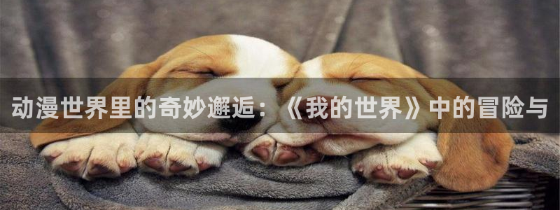 age动漫下载：动漫世界里的奇妙邂逅：《我的世界》中的冒险与