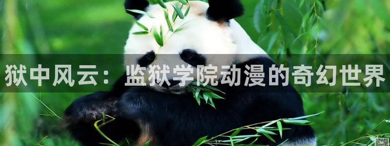 age动漫樱花