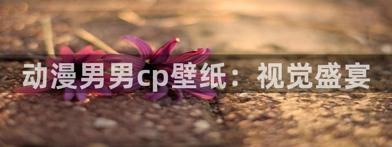 age动漫：动漫男男cp壁纸：视觉盛宴