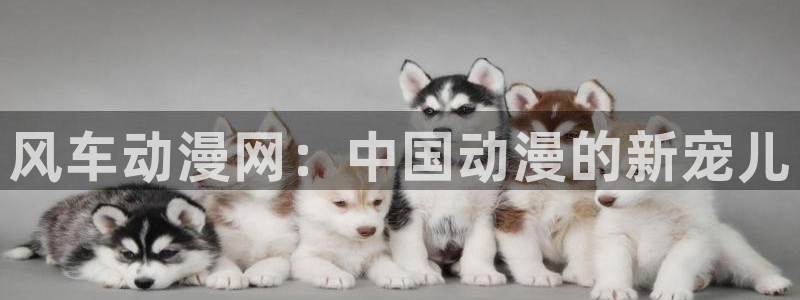 age动漫专注动漫的门户网站