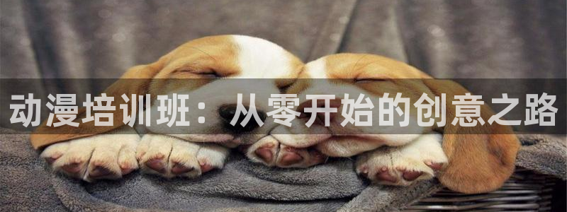 age动漫樱花：动漫培训班：从零开始的创意之路