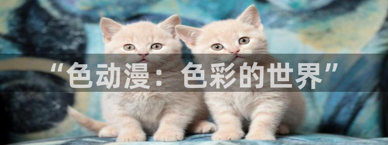 age动漫官网网址：“色动漫：色彩的世界”