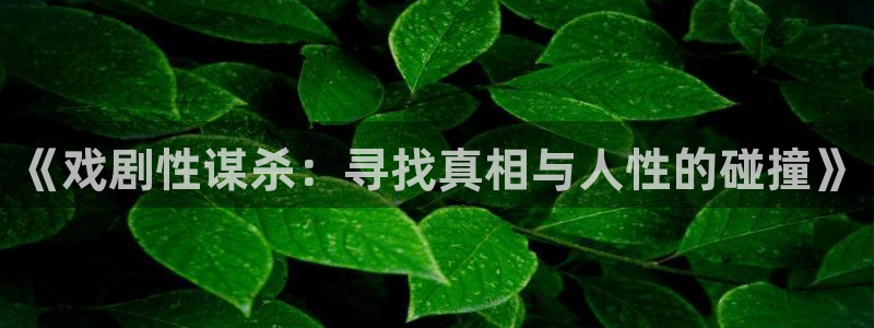 age动漫下载动漫全免费：《戏剧性谋杀：寻找真相与人性的碰撞》