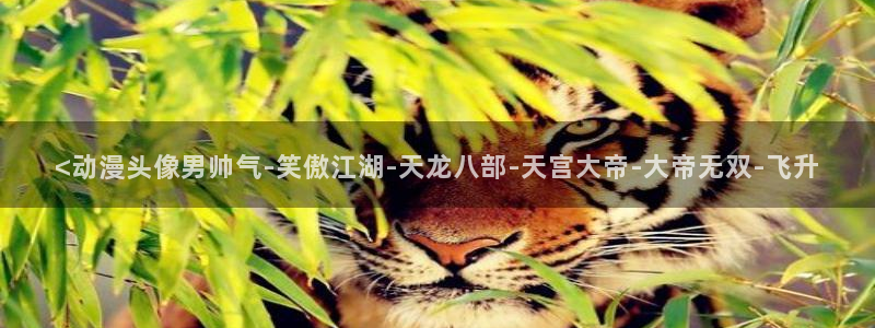 age动漫官网在线入口：<动漫头像男帅气-笑傲江湖-天龙八部-天宫大帝-大帝无双-飞升
